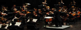 Orchestra