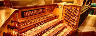 Organi