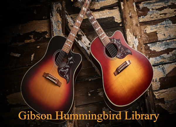 Gibson Hummingbird Library